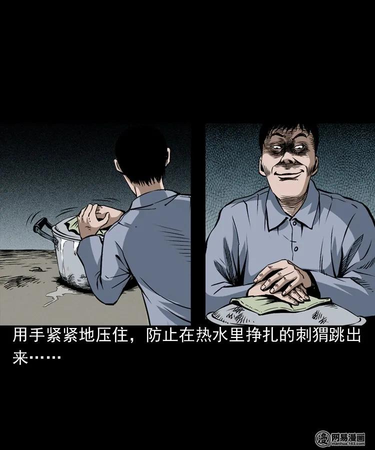 168 刺猬15