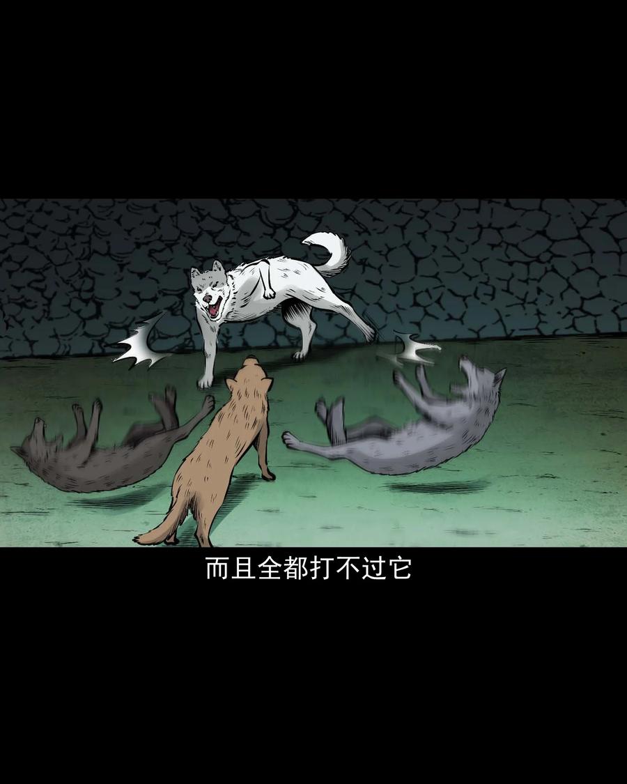 532 老烟鬼10317