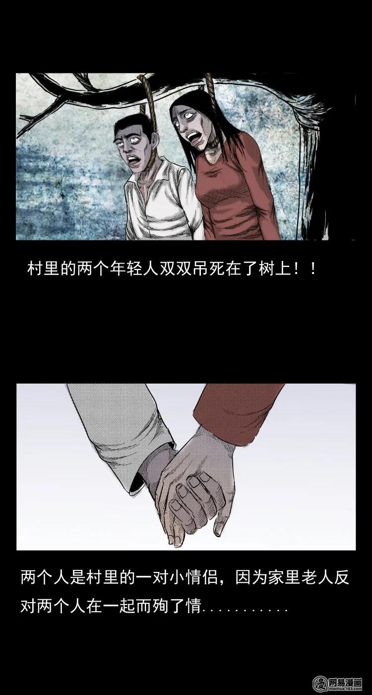 29 古树10