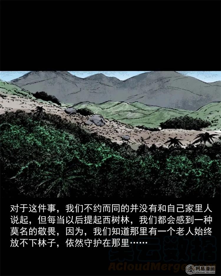 228 林中诡事80