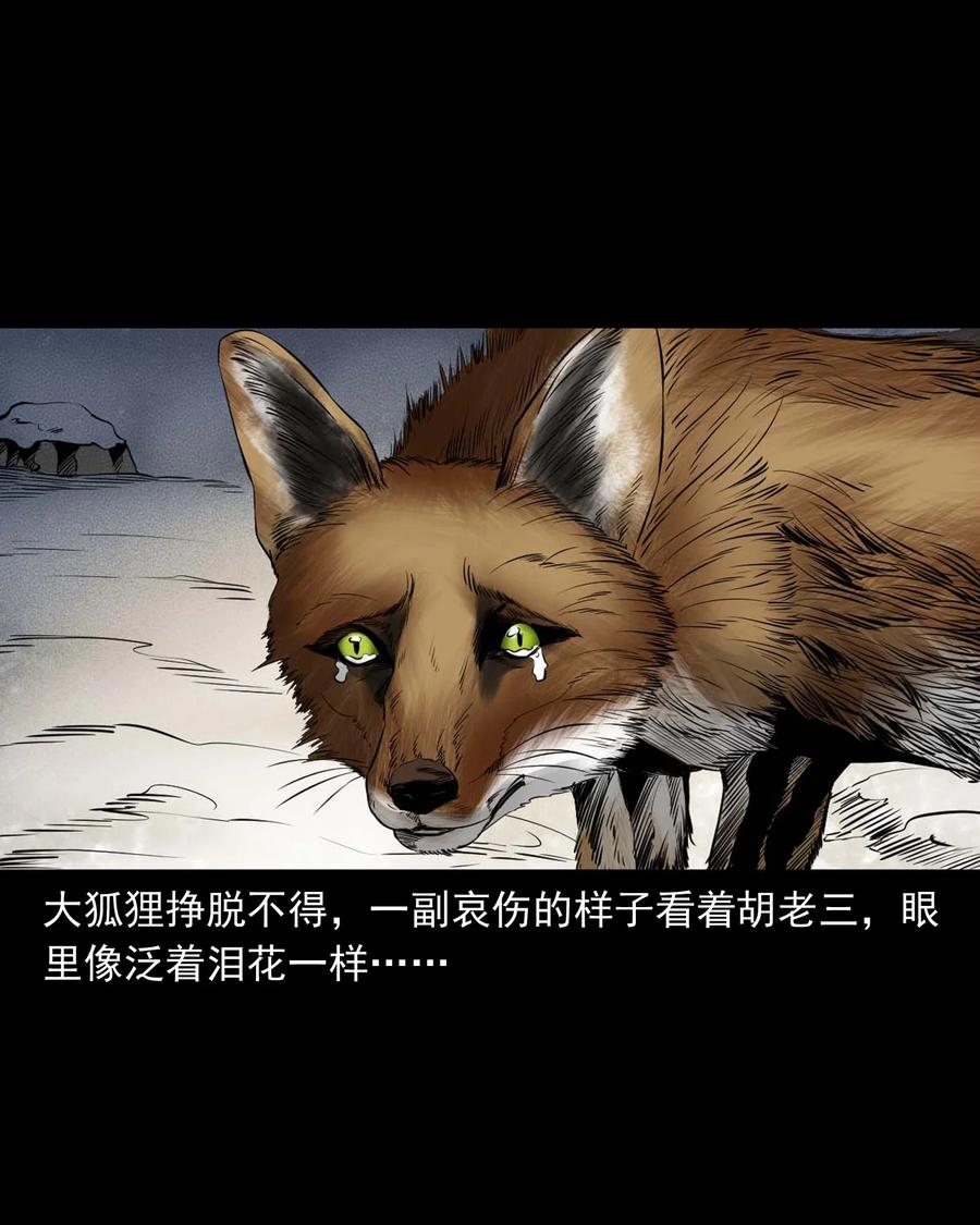 545 狐狸围脖20