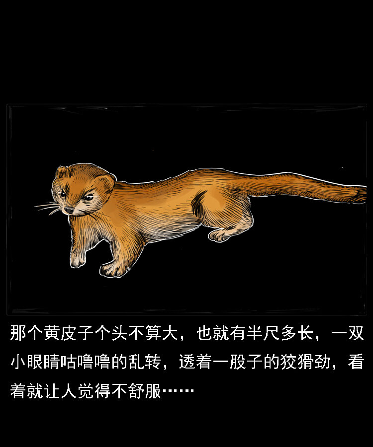 22 黄皮子报恩18