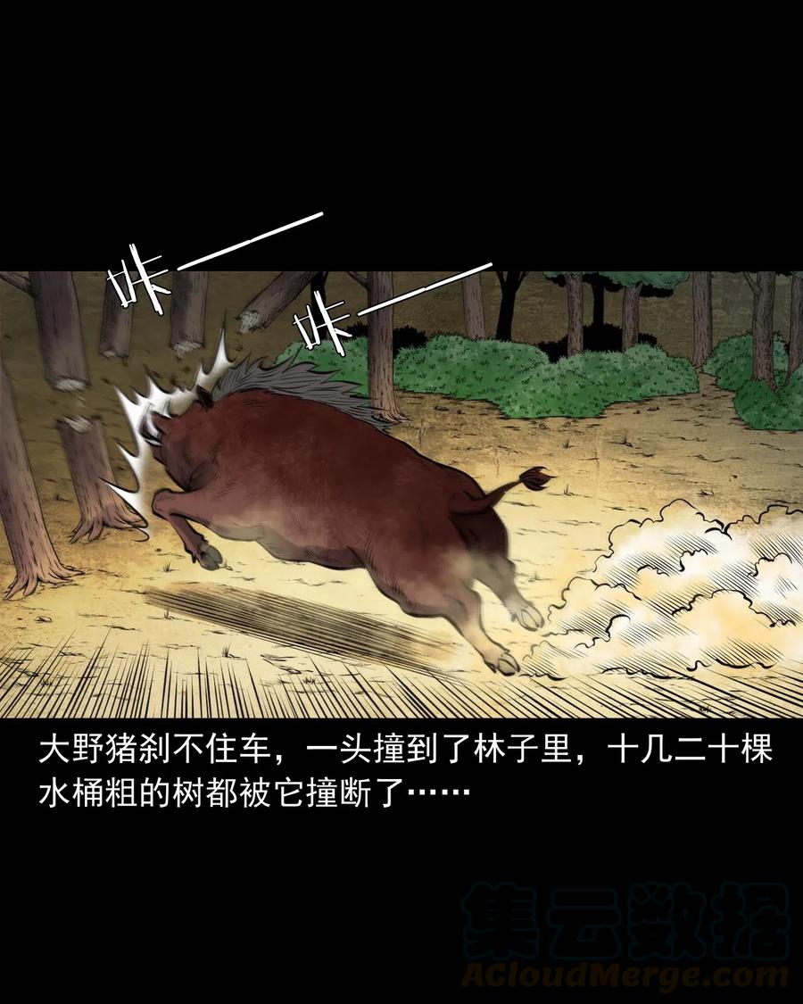 484 老烟鬼803