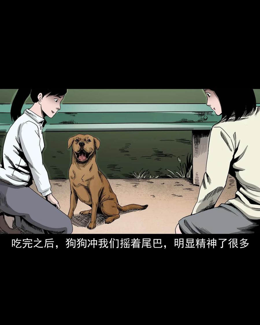 412 找狗人25