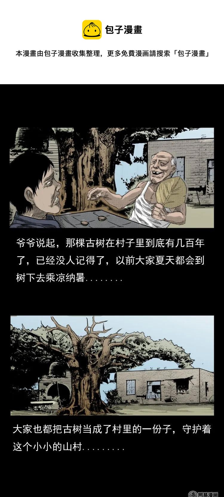 29 古树8