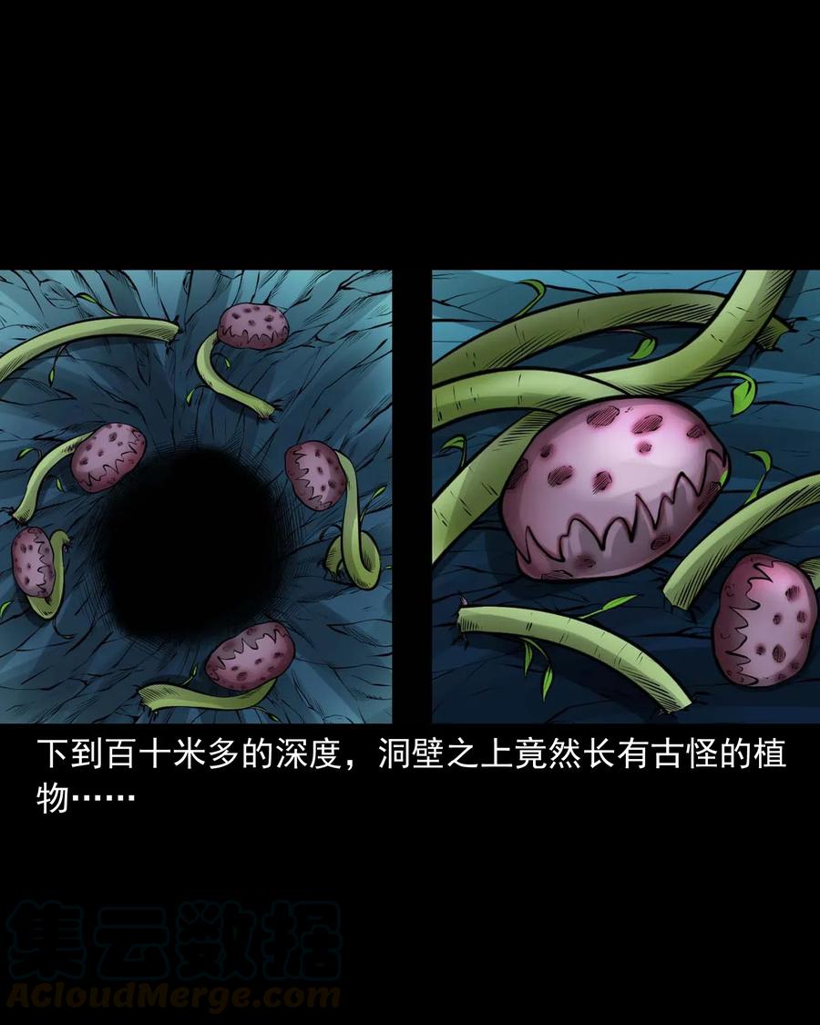 494 老烟鬼859