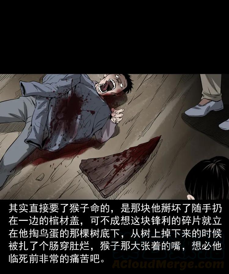 341 本命年撞煞92