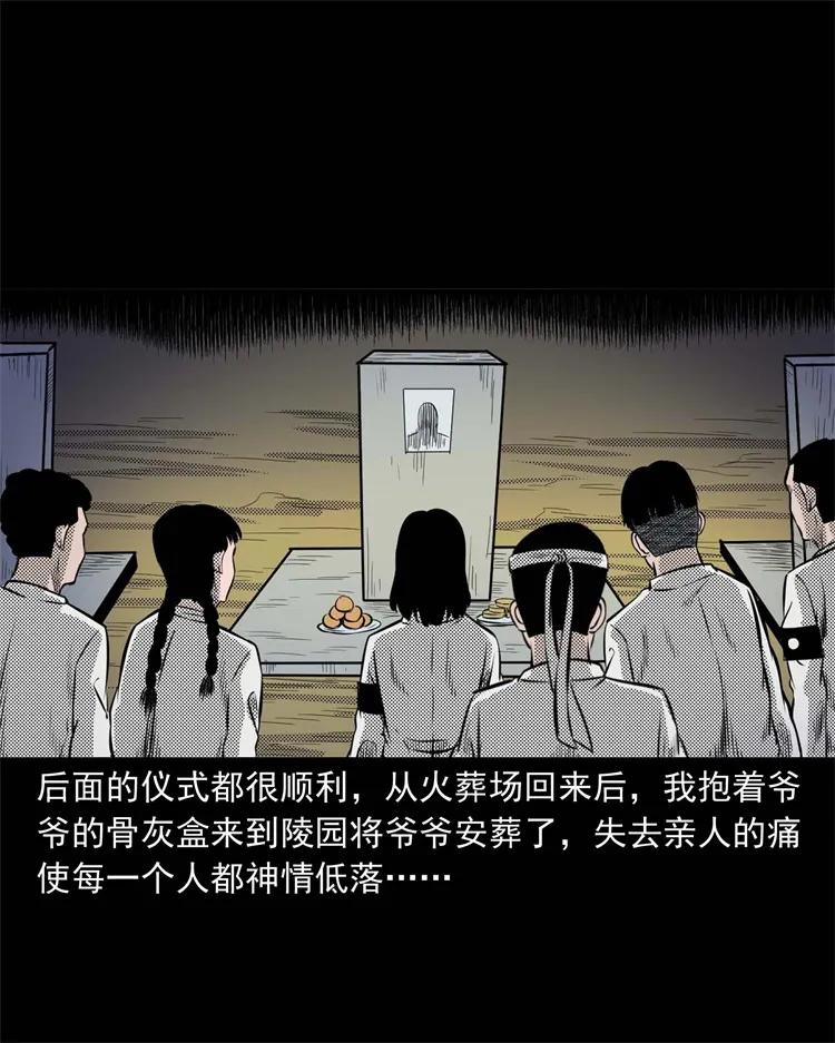269 抱错骨灰盒9