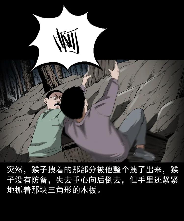341 本命年撞煞47