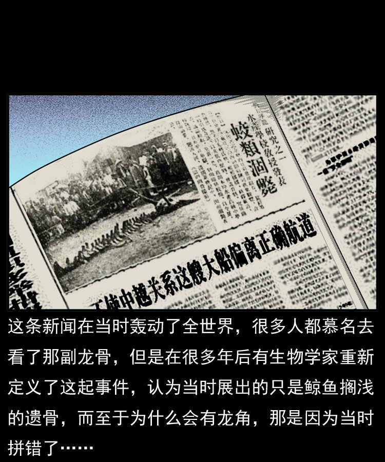 20 坠龙81