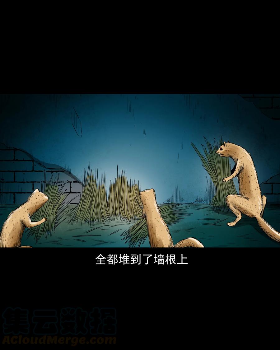 502 山神传说二42