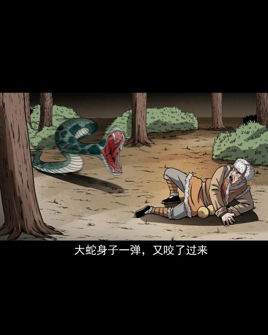 359 老烟鬼（十八）13