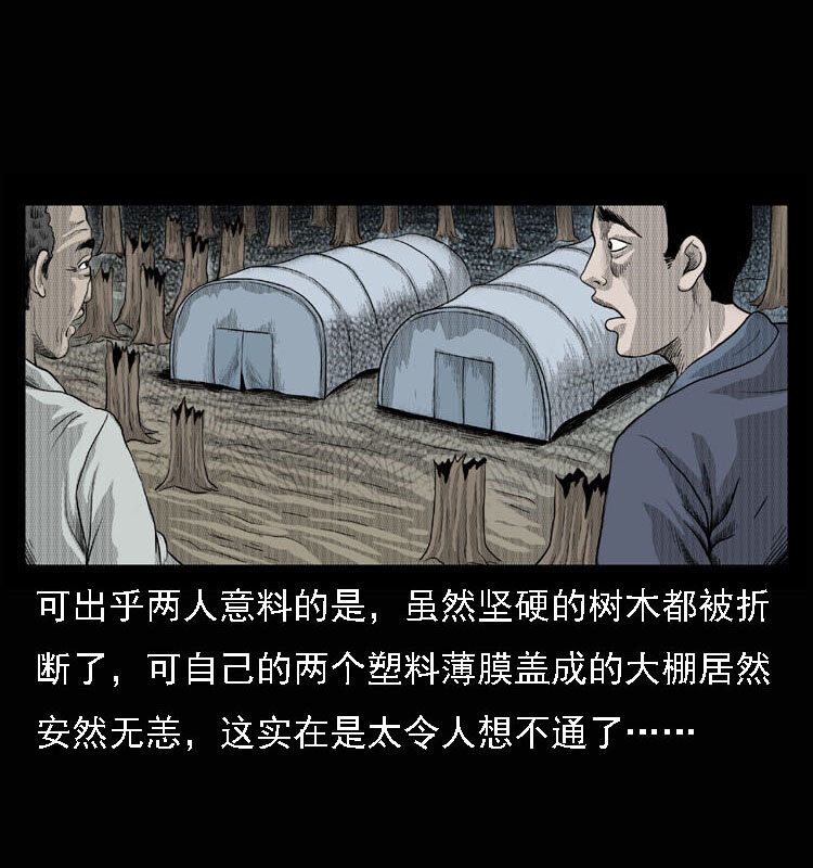 15 空中怪车事件58