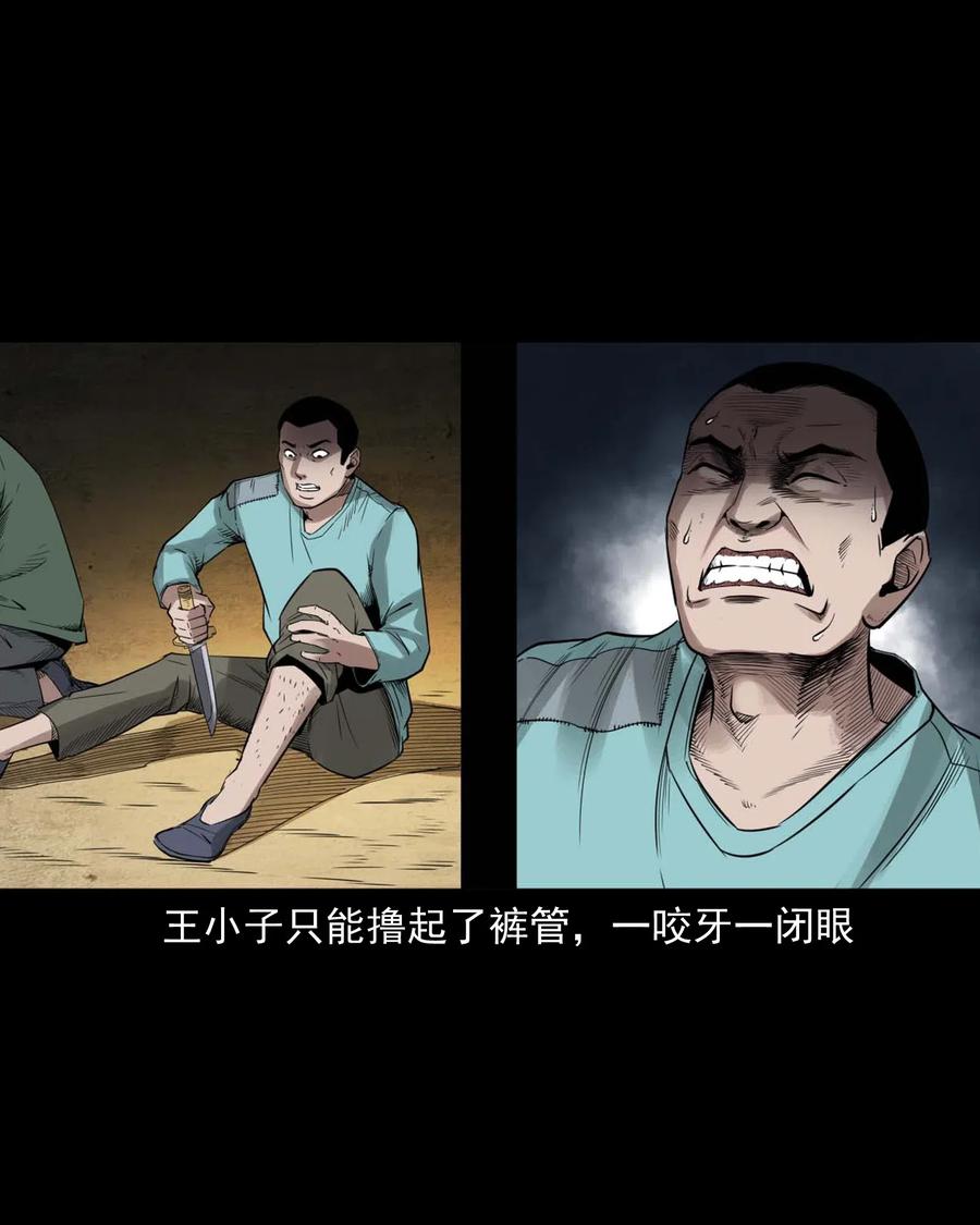 456 胡三太爷传说61