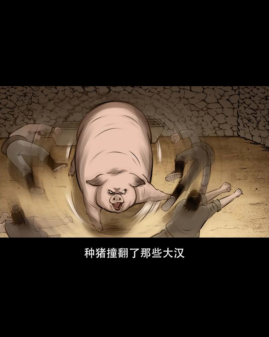 559 老烟鬼116话65