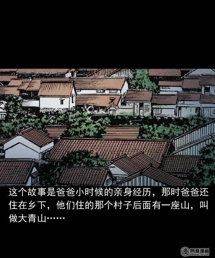 178 发夹1
