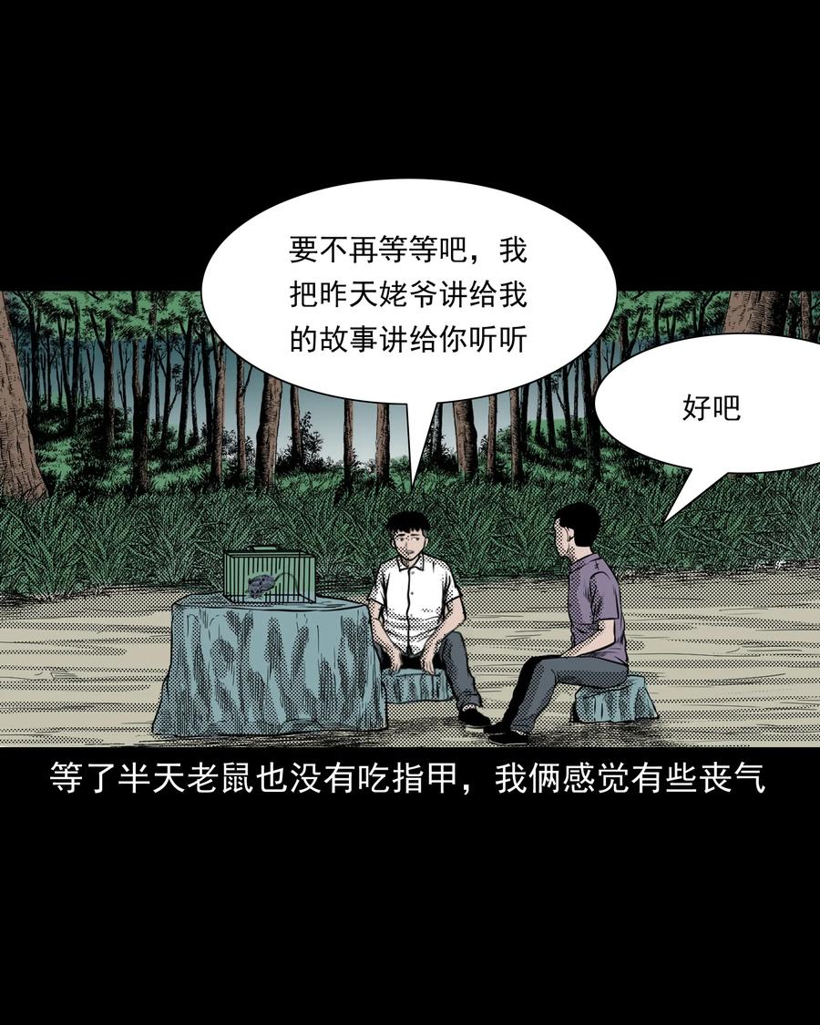 282 老鼠成仙49