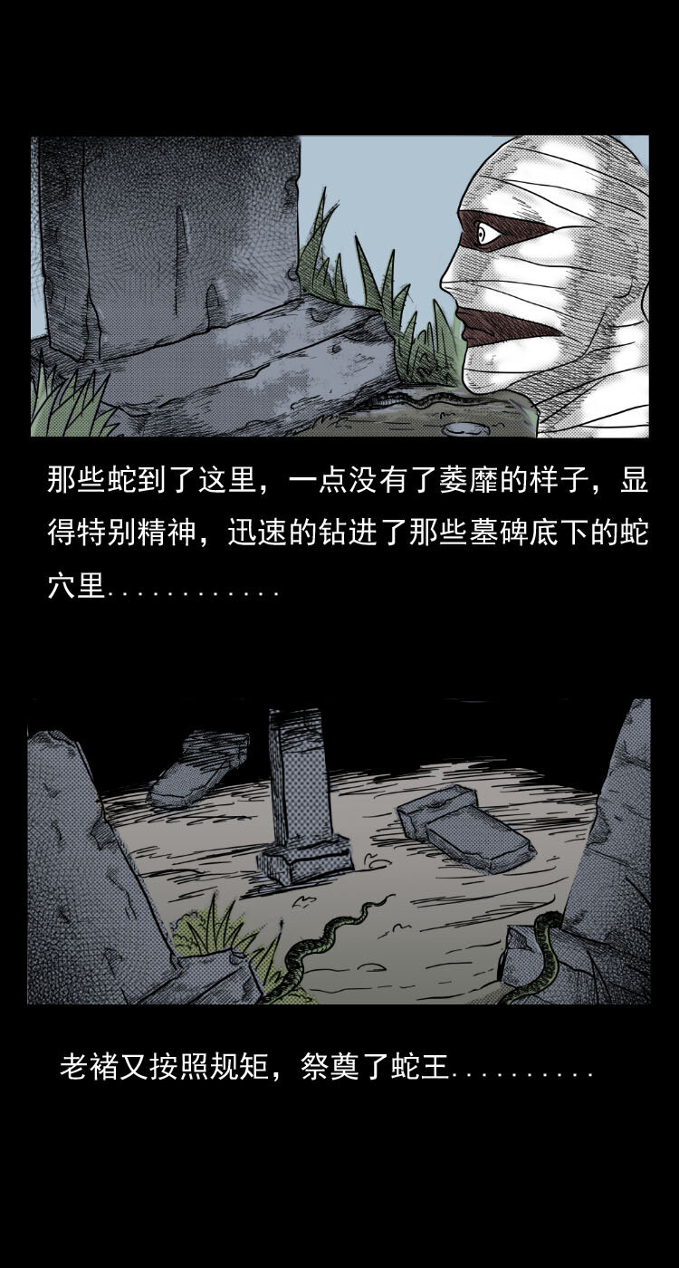 5 活蛇酒27