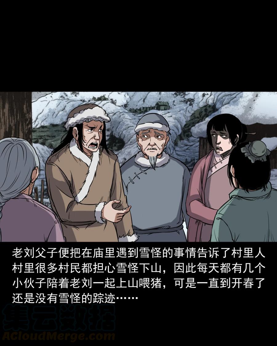 355 雪怪40