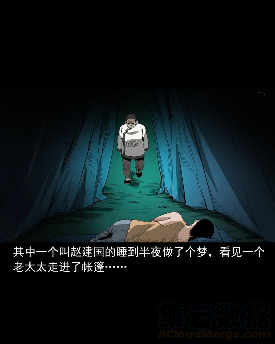 493 大王八24