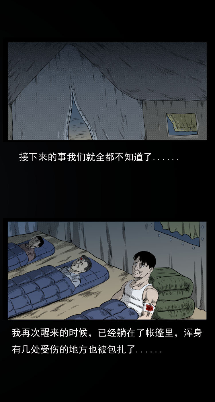 10 青藏铁路怪物事件33