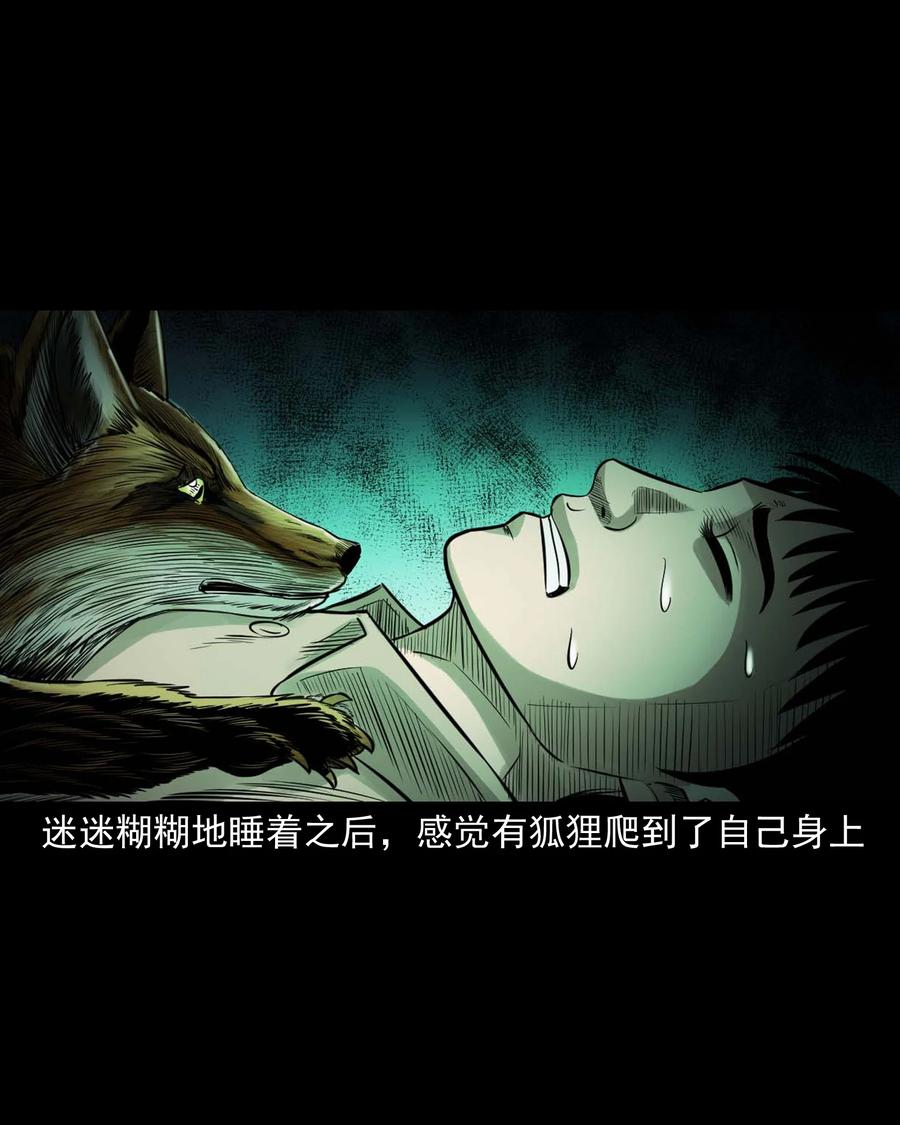 545 狐狸围脖40