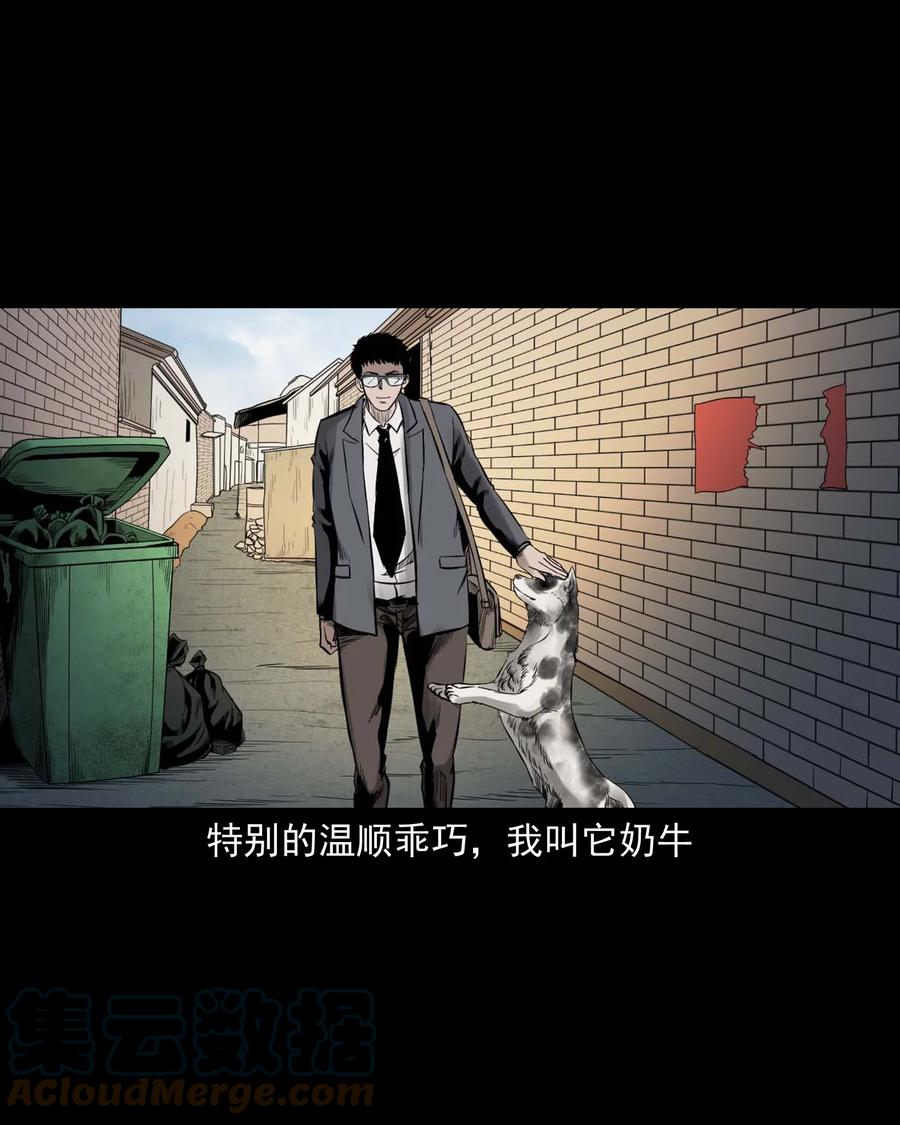 539 犬灵10