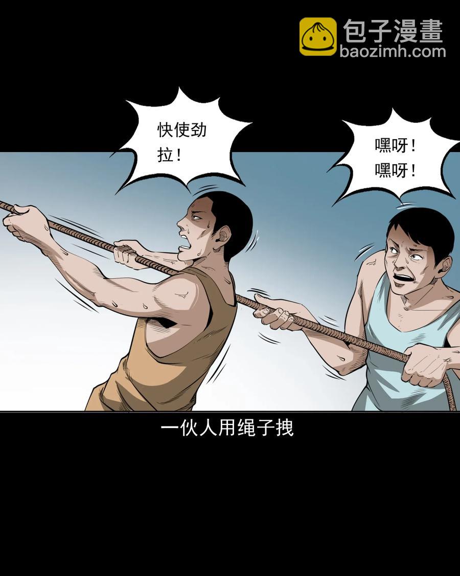 493 大王八19