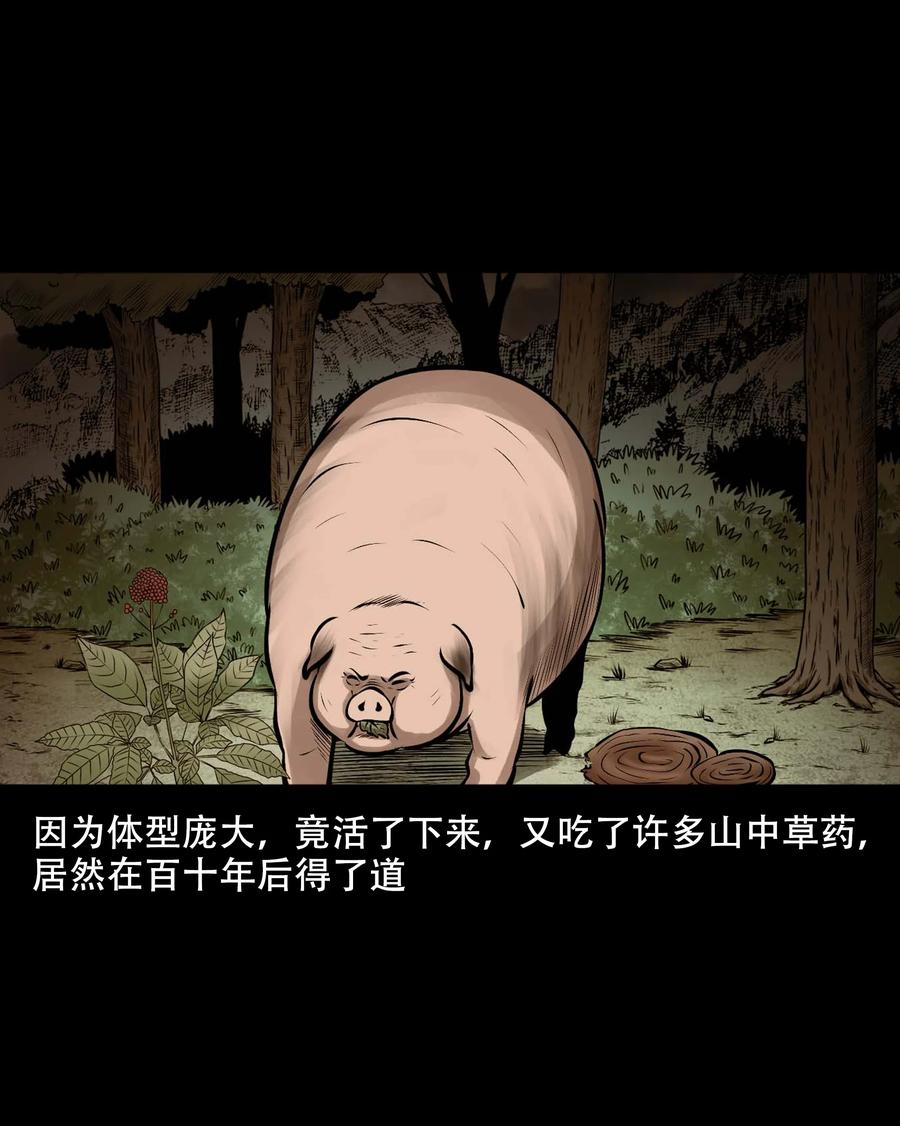559 老烟鬼116话67