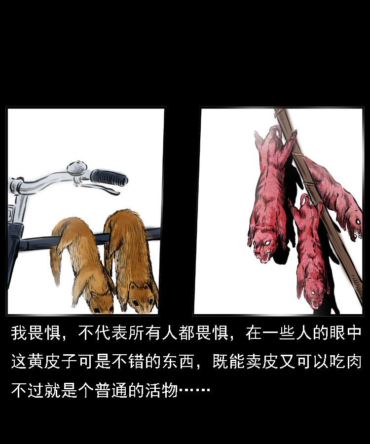 22 黄皮子报恩13