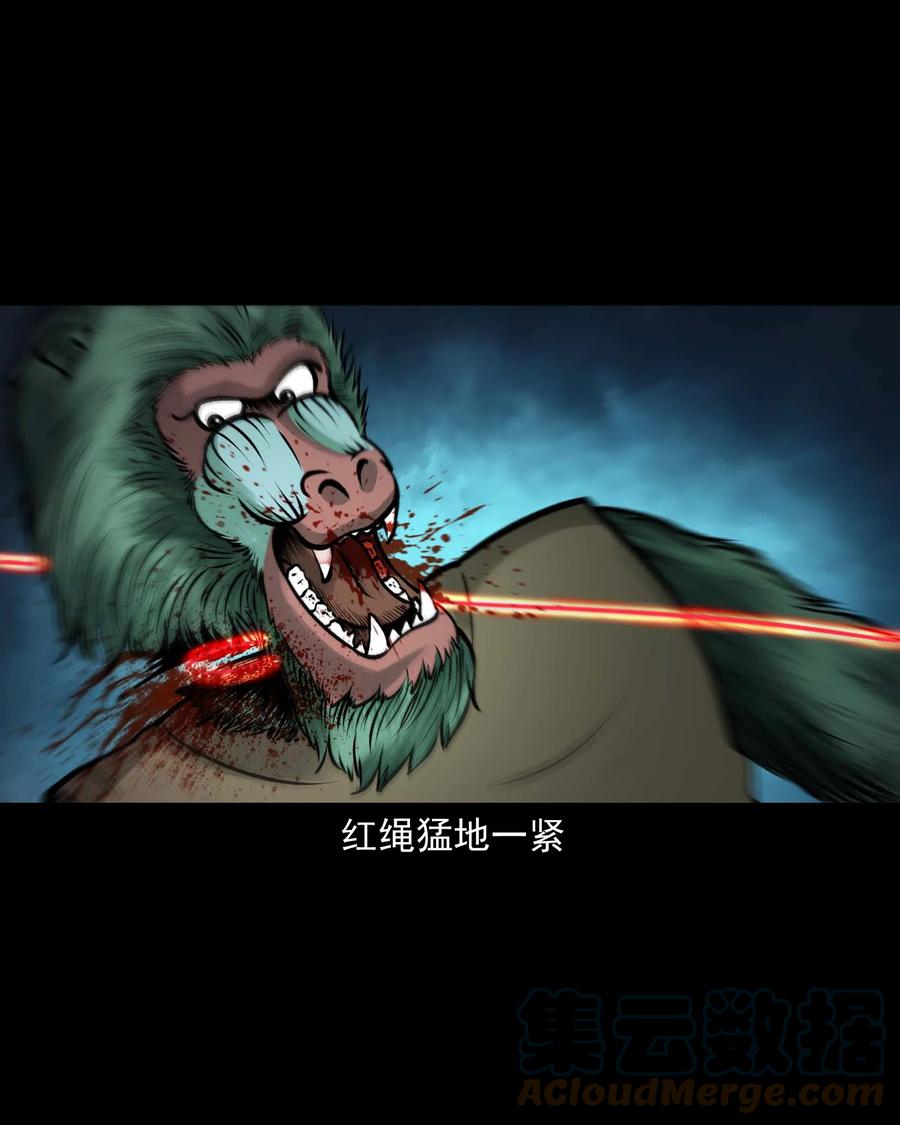 520 老烟鬼9657