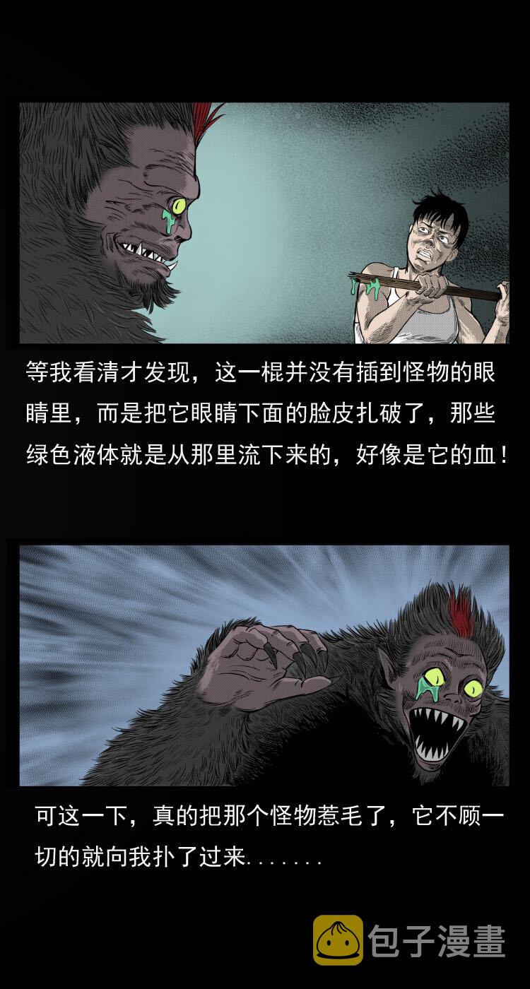10 青藏铁路怪物事件30