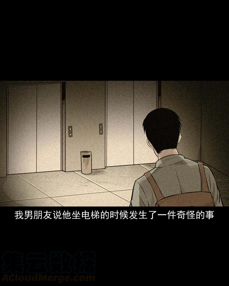 511 猫看见了什么21