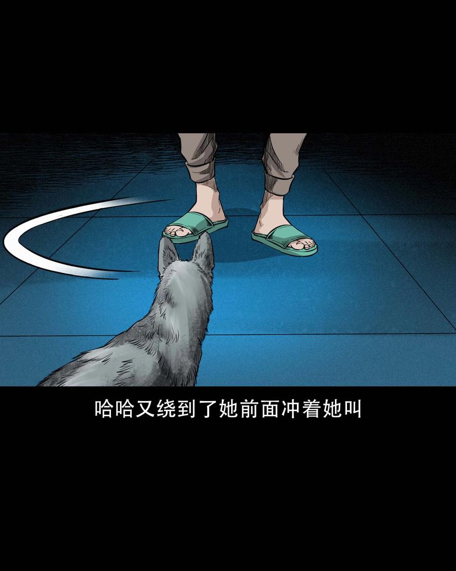 574 深夜访客19