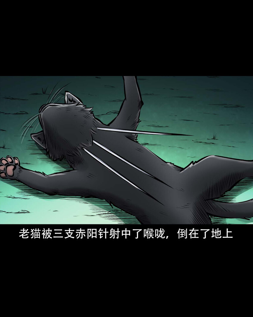 648 老烟鬼164话21
