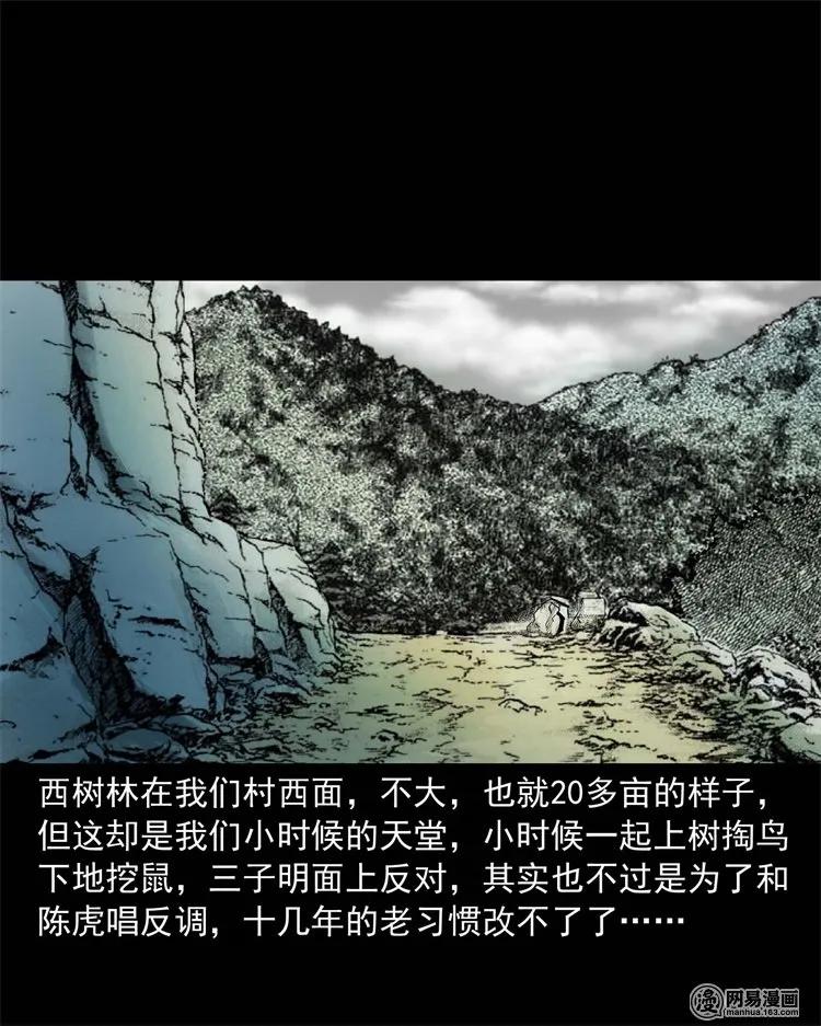 228 林中诡事7