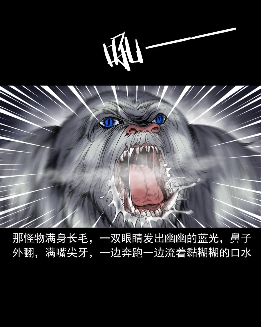 355 雪怪30