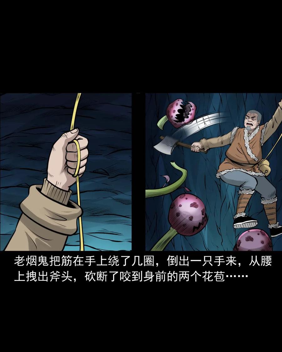494 老烟鬼8513