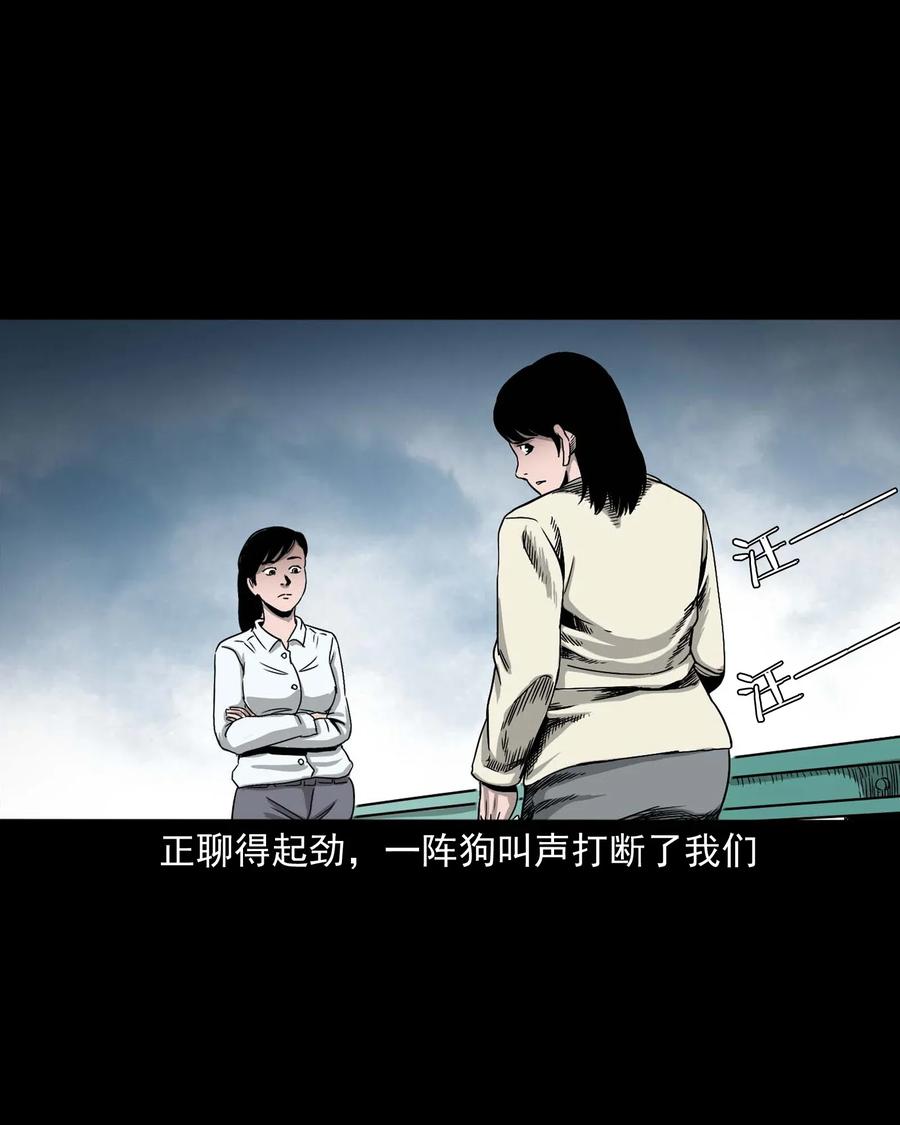 412 找狗人13
