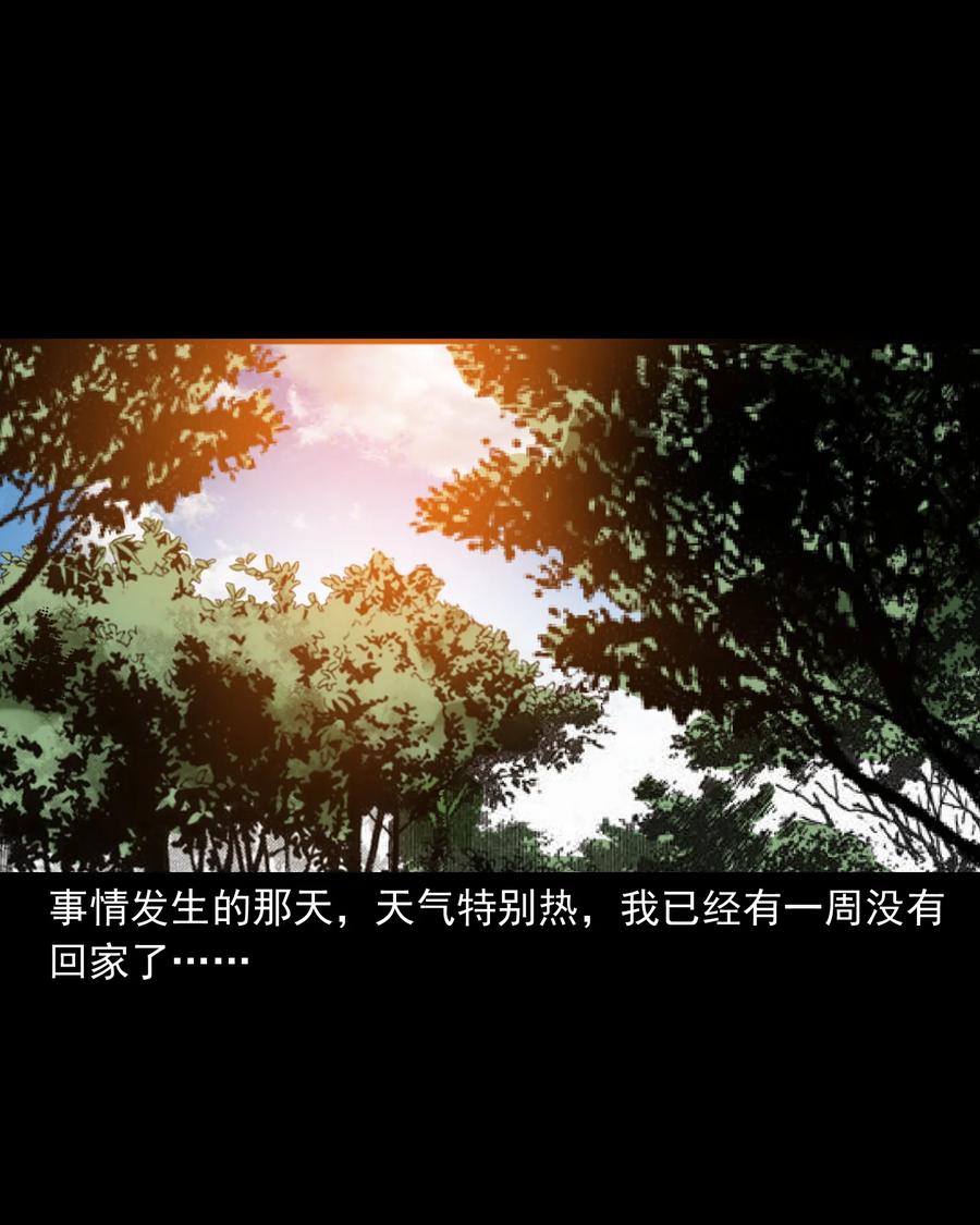 384 复仇7