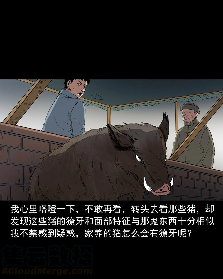 372 公路诡事48