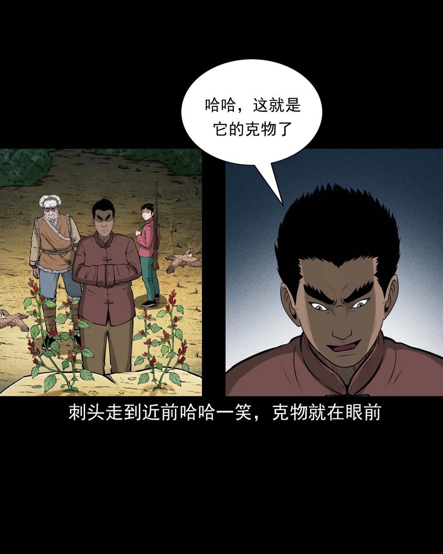480 老烟鬼7832