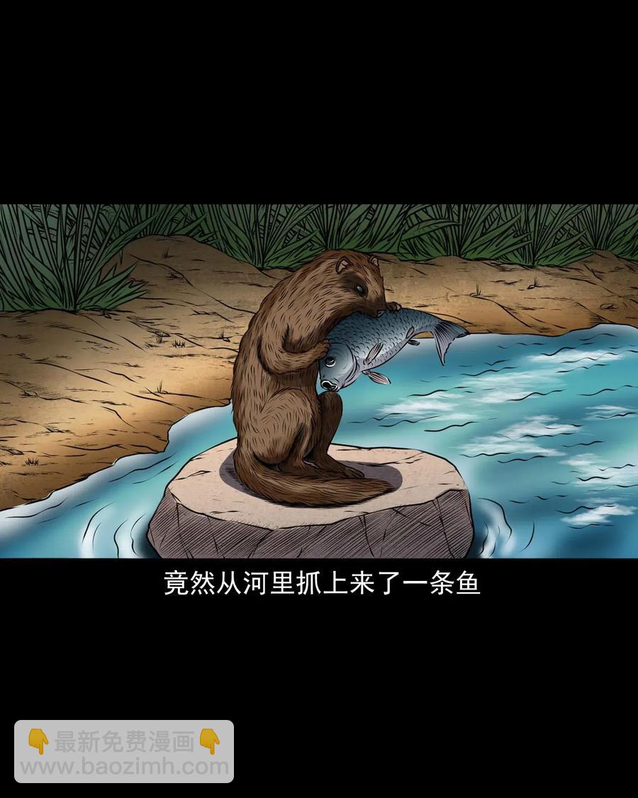 427 老烟鬼5249