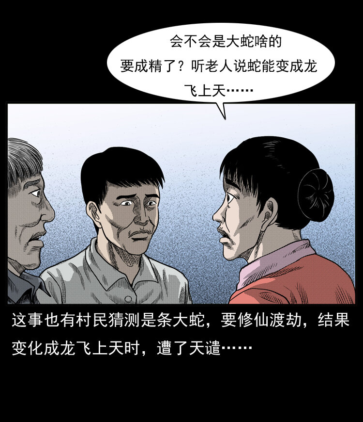 20 坠龙49