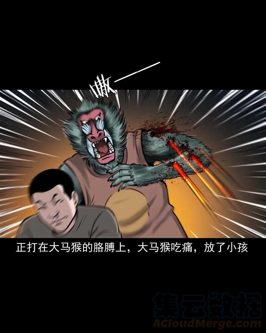 520 老烟鬼9642