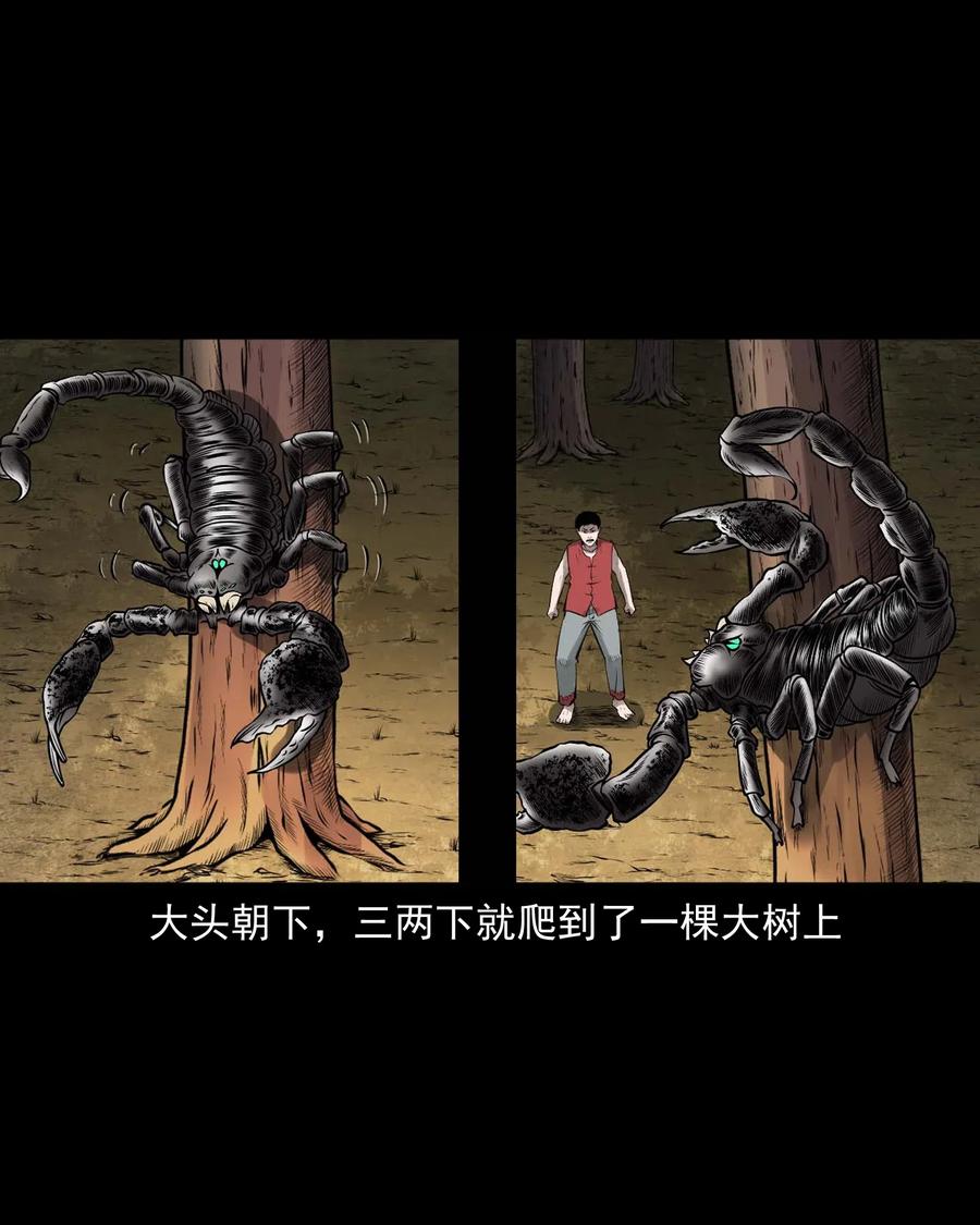 455 老烟鬼6618