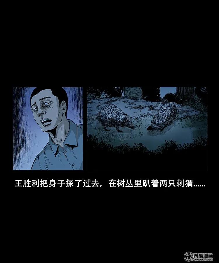 92 邪太岁13