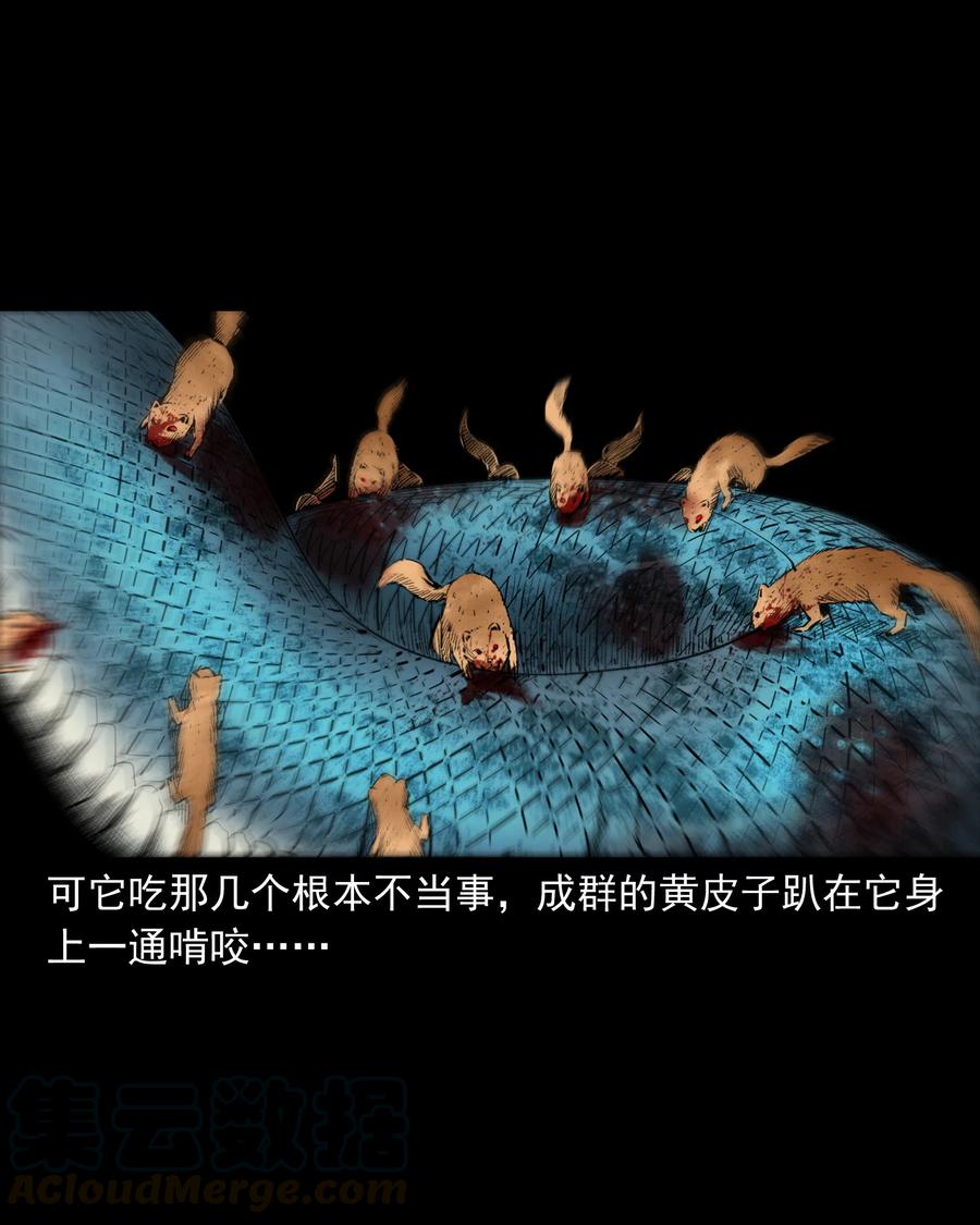 505 山神传说五36