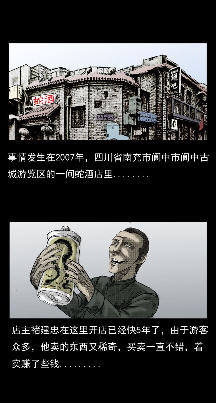 5 活蛇酒1