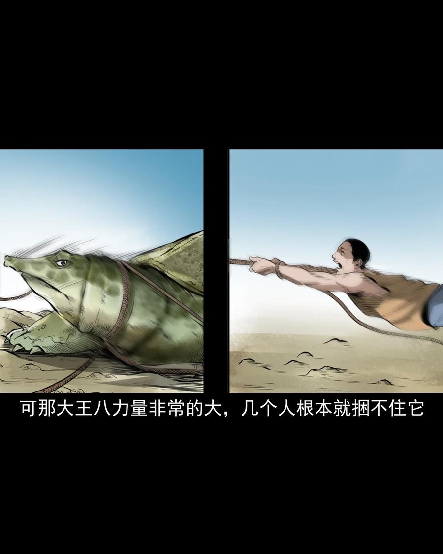 493 大王八16
